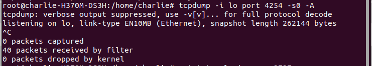 tcpdump -i lo port 4254 s0 -A -vv